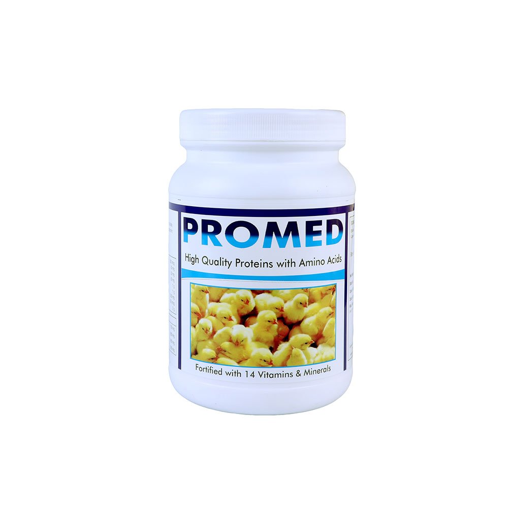 PROMED-FRONT