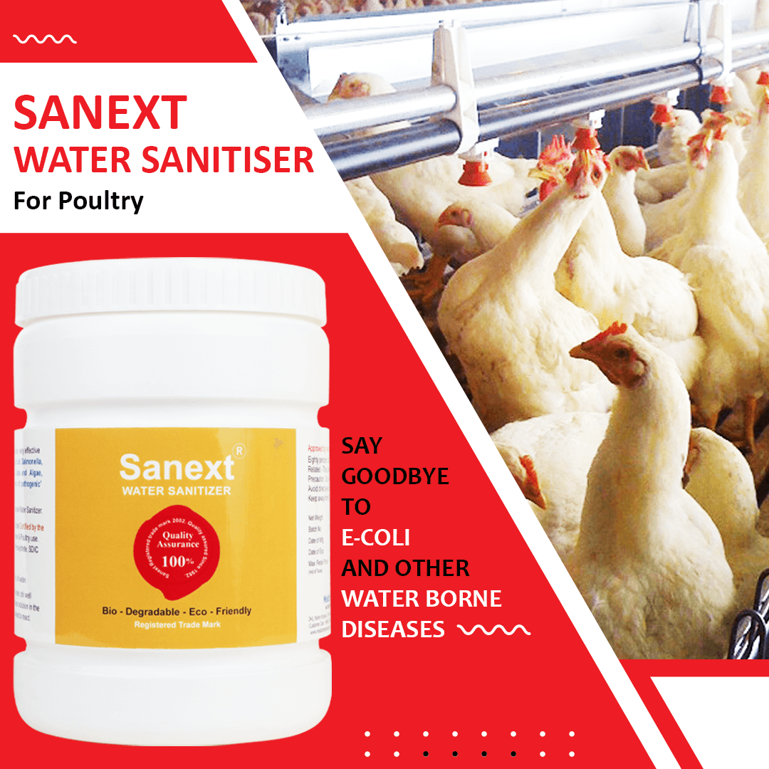Sanext - Poulty Water sanitizer